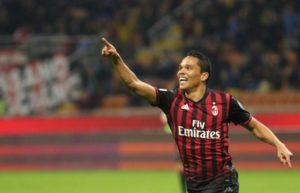 bacca
