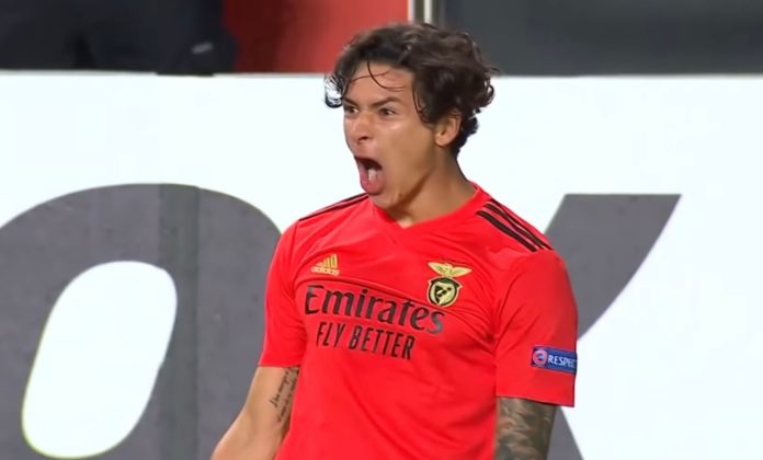 Darwin Nunez ai tempi del Benfica